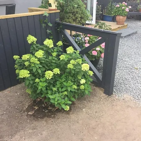 Molino Bonnerup Strand