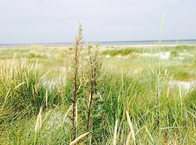 Frühstückspension Molino