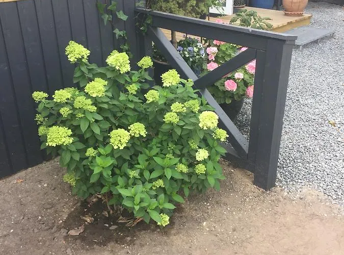 Molino Bønnerup Strand